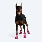 Hondenregenlaarsjes, Waterdichte hondenschoenen - Fuchsia Camo