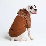 Desert Camo Dog Hoodie