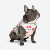 Hondenkoelvest - Kersen