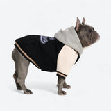 Dog Varsity Jacket - Black
