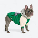 Dog Varsity Jacket - Green