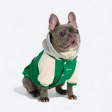 Dog Varsity Jacket - Green
