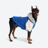 Blue Varsity Jacket