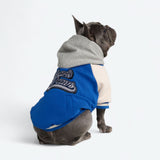 Honden Varsity Jas - Blauw