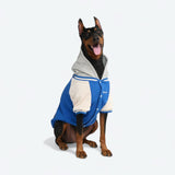 Honden Varsity Jas - Blauw