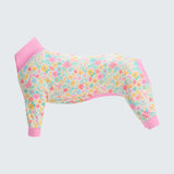 Honden-Pyjama - Weiden