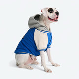 Honden Varsity Jas - Blauw