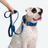 Comfort Controle Halsband - Blauw Camo