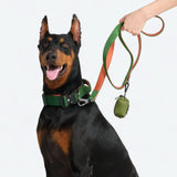 Green Orange Collar