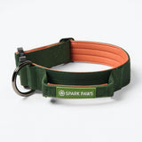Comfort Controle Halsband - Groen Oranje