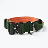 Comfort Controle Halsband - Groen Oranje