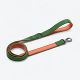 Comfort Controle Halsband - Groen Oranje