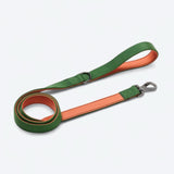 Comfort Controle Halsband - Groen Oranje
