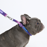 90s Retro Collar||size:A,B