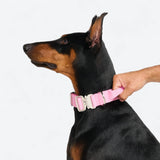 Comfort Controle Halsband - Roze