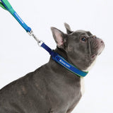 Lime Wave Martingale Collar||size:A,B