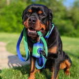 Lijn en Poepzakjeshouder Set - Kalkgolf