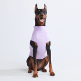 Purple Shirt