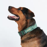 Tactische halsband - Leger Groen