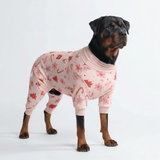 size:5XL