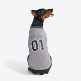 Voetbal Mesh Shirt - Grijs