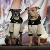 Olive Cream Hoodie||size:S,M,L,XL,2XL,3XL,4XL,5XL