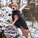 size:S,M,L,XL,2XL,3XL,4XL