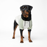 Olive Cream Dog Hoodie