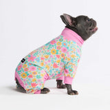 Honden-Pyjama - Weiden