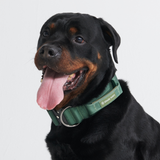 Tactische halsband - Leger Groen