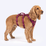 Fuchsia Camo Escape Proof||size:2