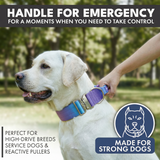 90s Retro Collar||size:XS,S,M,L