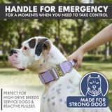 Lilac Collar||size:XS,S,M,L