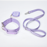 Lilac Collar