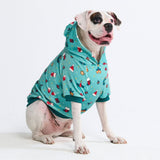 Hondenhoodie (velours zacht)