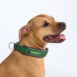 Green Martingale Collar||size:C,D,E