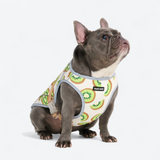 Kiwi Cooling Vest||size:L,XL,2XL