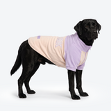 Lilac Cream Plush Fleece Dog Sweater||size:3XL