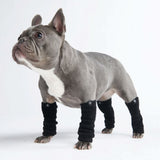 Rekbare fleece hondenbeenwarmers - Zwart