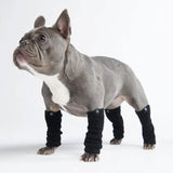 Rekbare fleece hondenbeenwarmers - Zwart