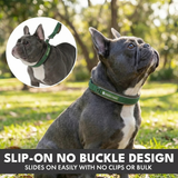 Green Martingale Collar||size:A,B