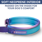 90s Retro Martingale Collar||size:A,B,C,D,E
