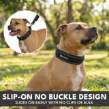Black Martingale Collar||size:C,D,E