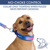Snow Cone Martingale Collar||size:C,D,E