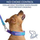 90s Retro Martingale Collar||size:C,D,E