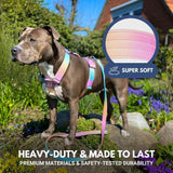 Comfort Control hondentuig zonder trekkracht - Pastelkleurig glazuur