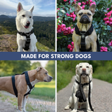 Comfort Control No-Pull Dog Harness - Black