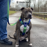 Lime Wave Harness||size:S,M,L