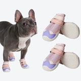 Hot Pavement Pawtector Dog Shoes - Pink Purple