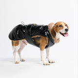 Slip-on winterjas - Glanzend zwart